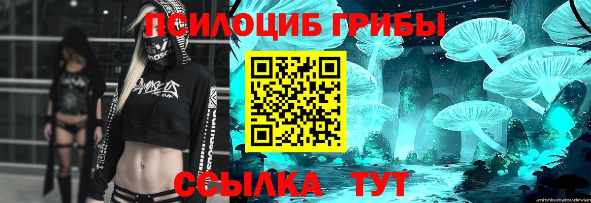 Клинцы  Псилоцибиновые грибы GOLDEN TEACHER  Вход с VPN 