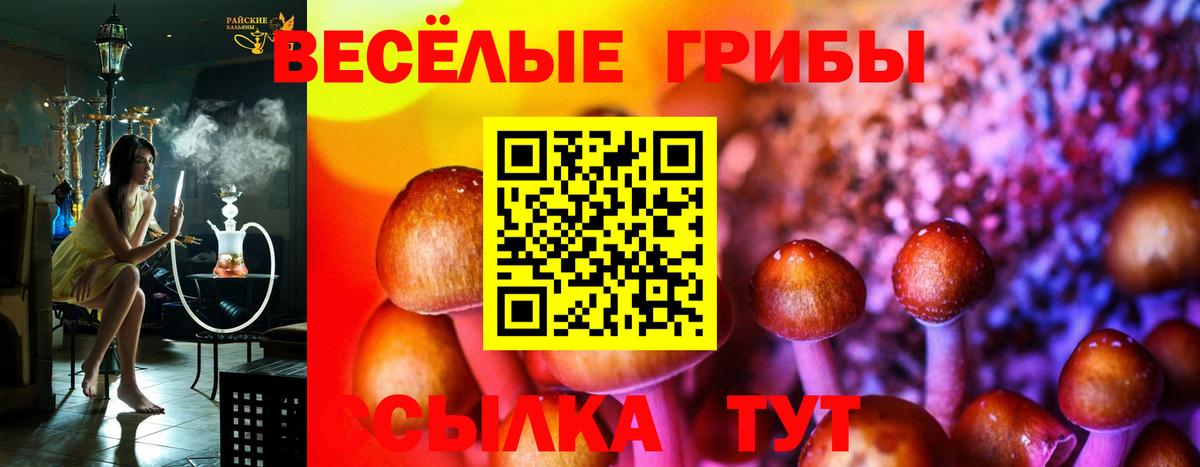 Галлюциногенные грибы Cubensis Клинцы